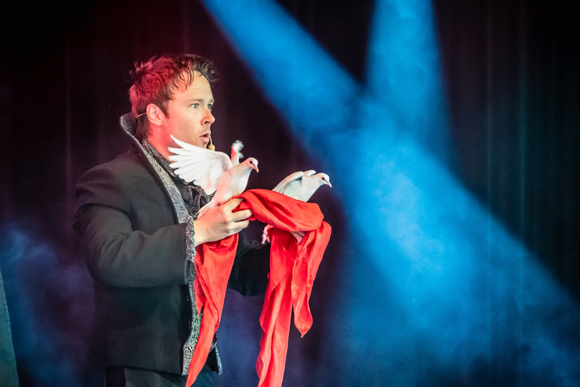 Magiker till julbord, duvor Magikern Daniel Kane trollar fram vita duvor ur en röd duk på scen