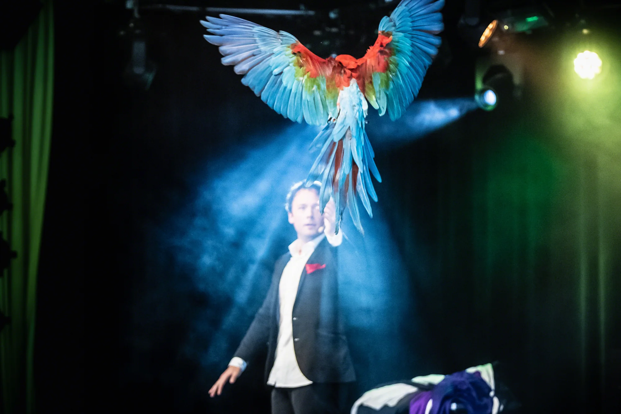 Scenshow med ara En ara flyger över magikern Daniel Kane i blått strålkastarljus på scenen